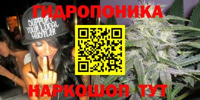 дурь Ярославль