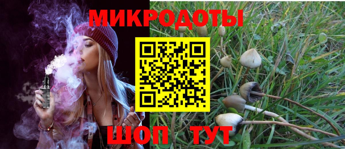 Псилоцибиновые грибы прущие грибы  Псилоцибиновые грибы Psilocybine cubensis  Вязьма  Вход с VPN 